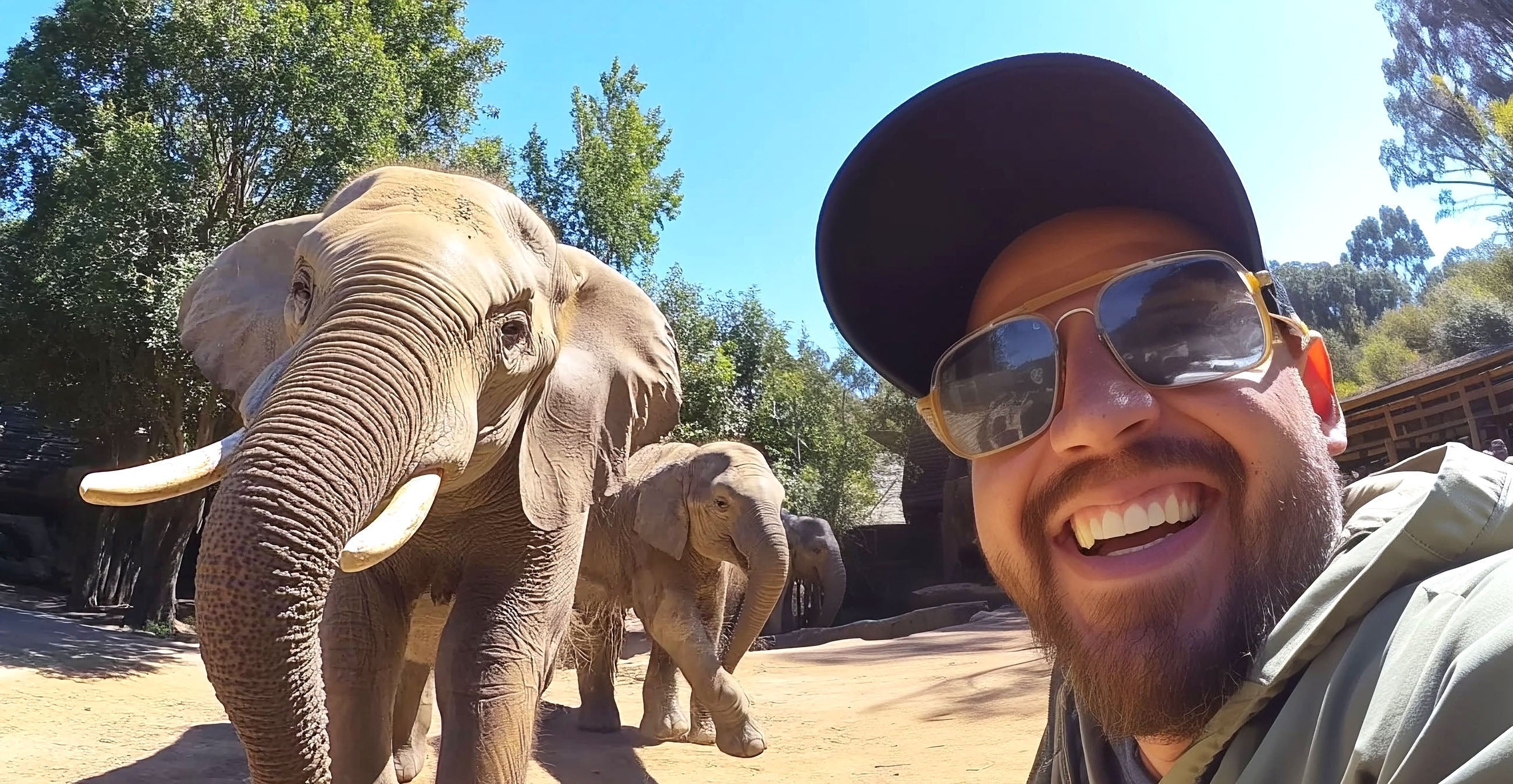 The First YouTube Video: A 19-Second Legacy