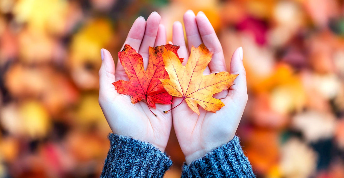 Gratitude, Simplified: A 30-Day Journey