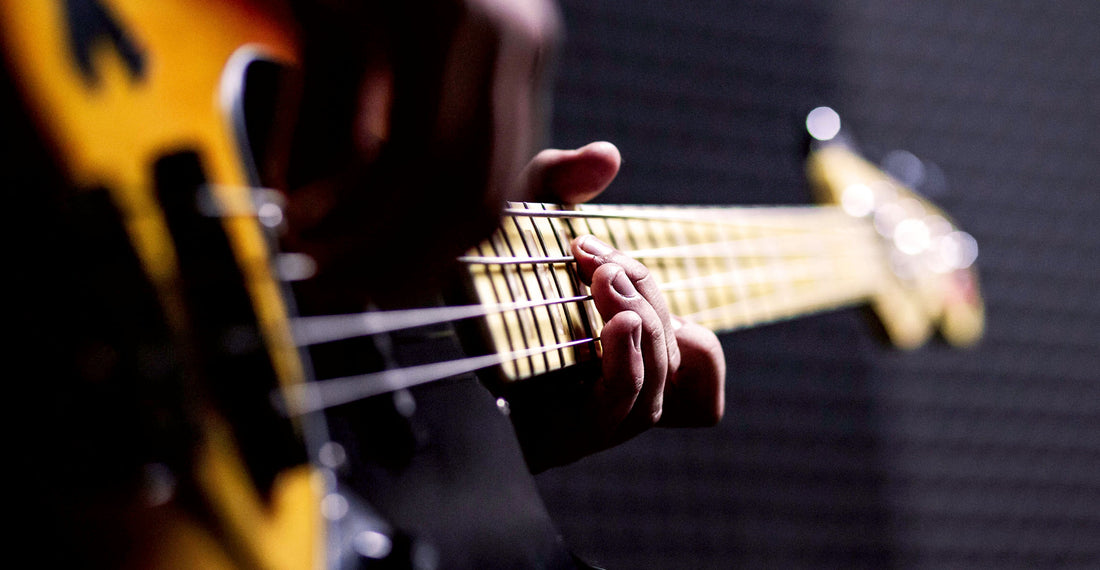 8 Best Solo Bass Albums with Rich Sound