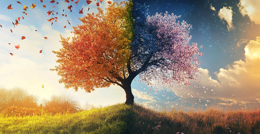 Thriving Through Change